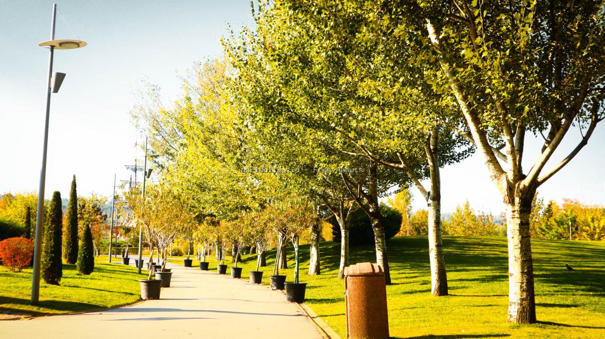 Kedamaian Jalur Setapak di Taman Kota yang Cerah